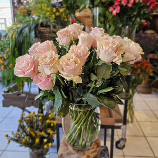 Rose Pink Mondial 50cm