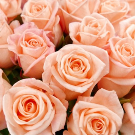 Bouquet de roses saumonées