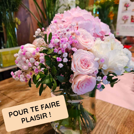 Abonnement Plaisir