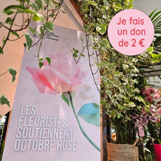 Octobre Rose Don de 2 €